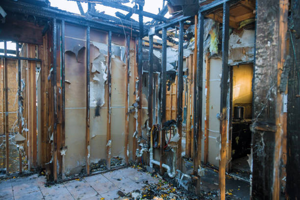 Professional Soot Cleanup technician working in Delano, MN
